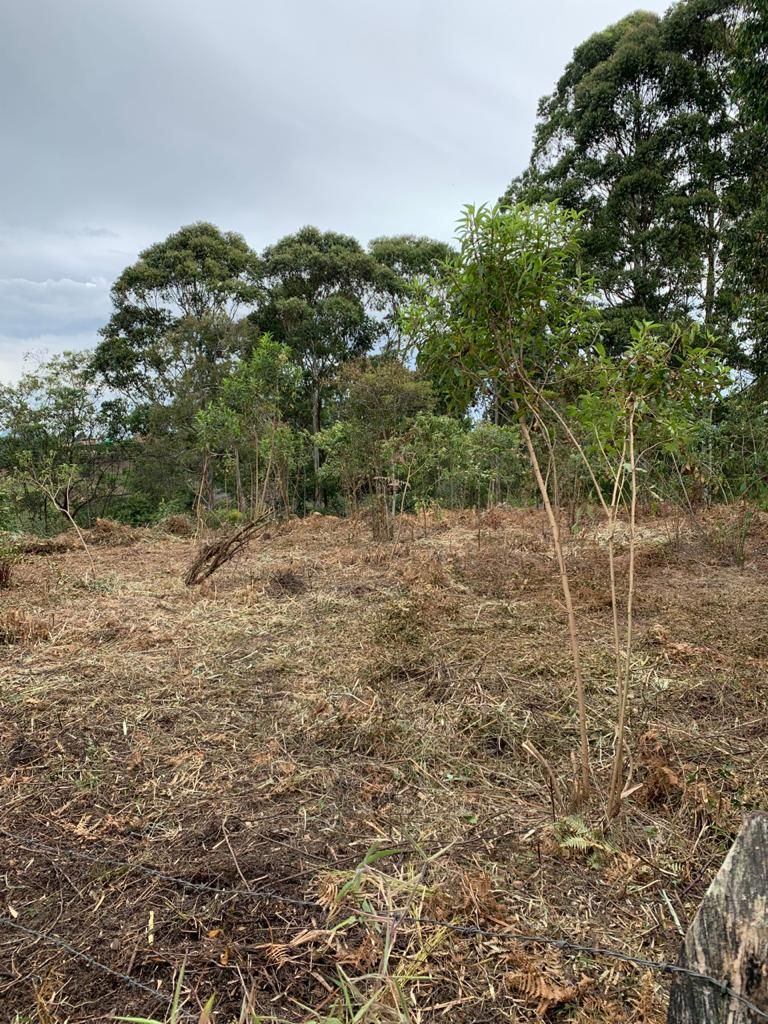 Lote en venta Antioquia Rionegro Rionegro 0 m2 Habitaciones 0 Baños 0 Garajes 0 Precio $757800000