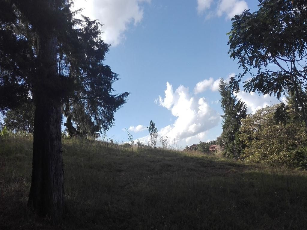 Lote en venta Antioquia Rionegro Rionegro 0 m2 Habitaciones 0 Baños 0 Garajes 0 Precio $600000000