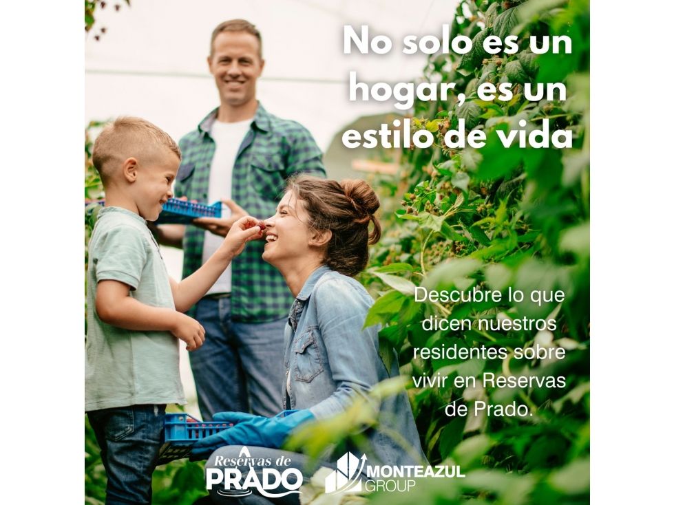 Lote en venta Tolima Prado Prado 100 m2 Habitaciones 0 Baños 1 Garajes 0 Precio $82600