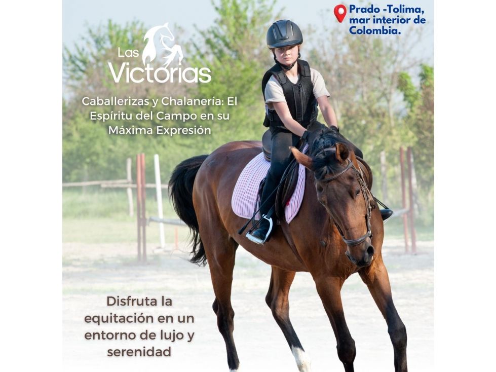 Lote en venta Tolima Prado Prado 3000 m2 Habitaciones 0 Baños 1 Garajes 0 Precio $185000000