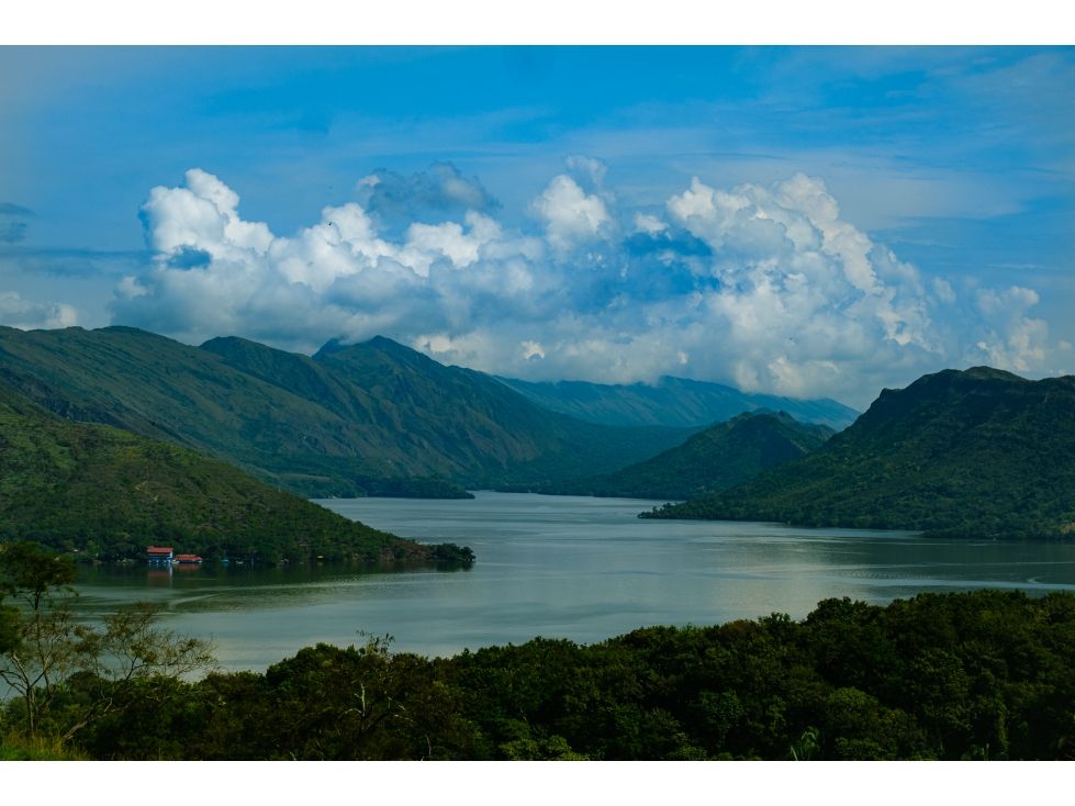 Lote en venta Tolima Prado Prado 450 m2 Habitaciones 0 Baños 2 Garajes 3 Precio $99040000