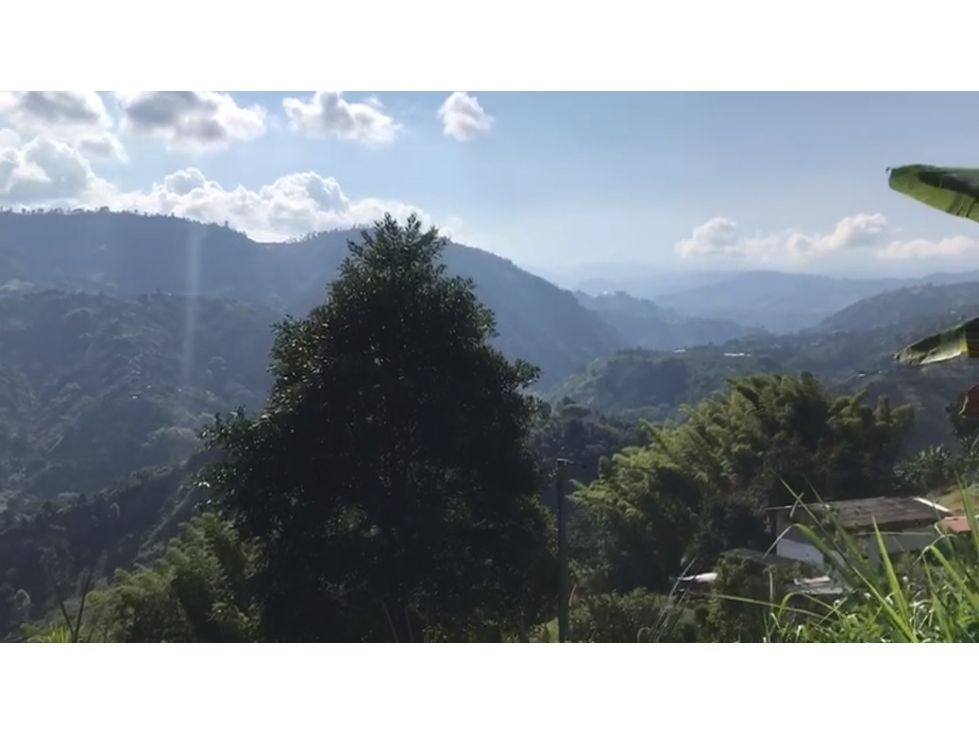 Lote en venta Caldas Manizales Manizales 700 m2 Habitaciones 0 Baños 0 Garajes 0 Precio $170000000