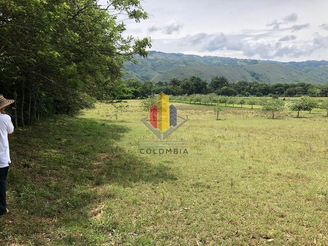 Finca en venta Tolima Valle De San Juan Valle De San Juan 560000 m2 Habitaciones 0 Baños 0 Garajes 0 Precio $1600000000