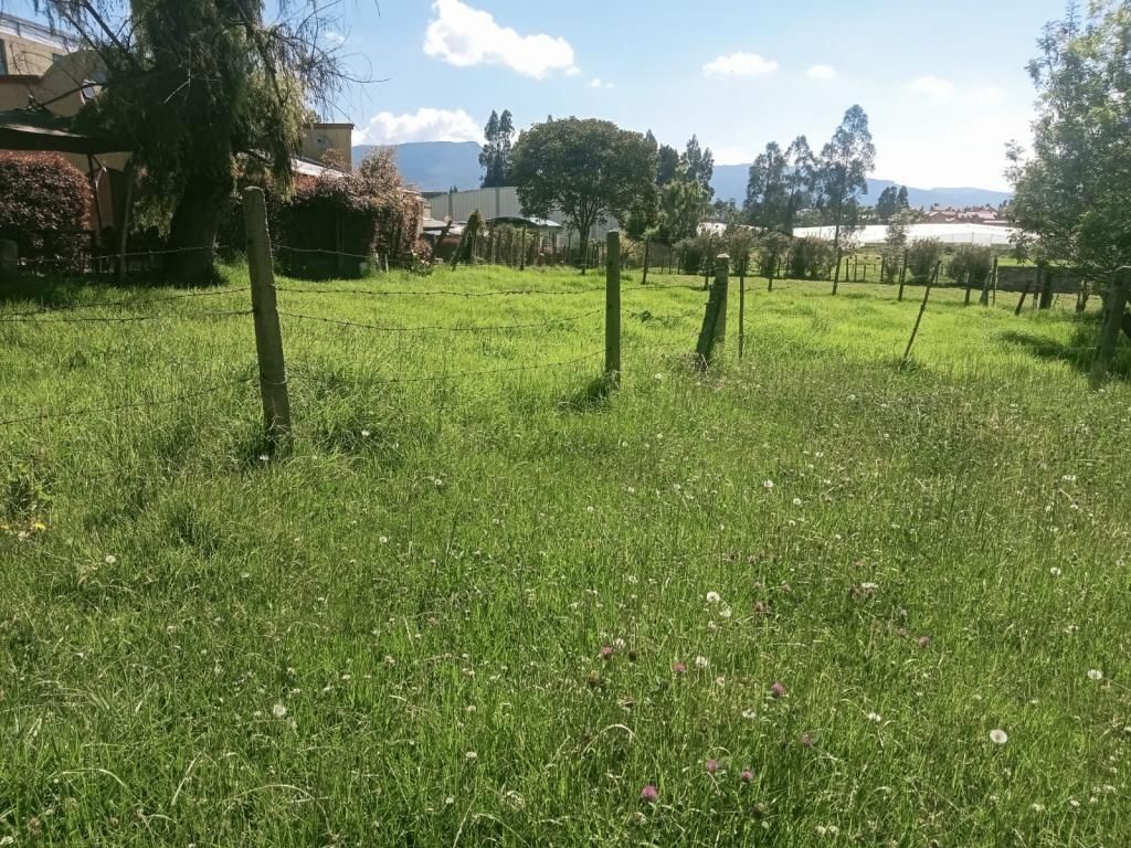 Casa en venta Cundinamarca Chía Chia 245 m2 Habitaciones 3 Baños 3 Garajes 0 Precio $1900000000