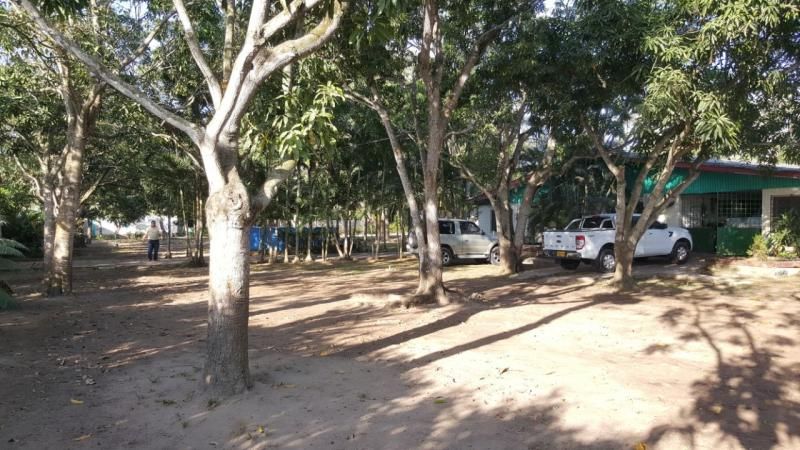 Finca en venta Atlántico Baranoa Santa Elena 31268 m2 Habitaciones 0 Baños 0 Garajes 0 Precio $3300000000