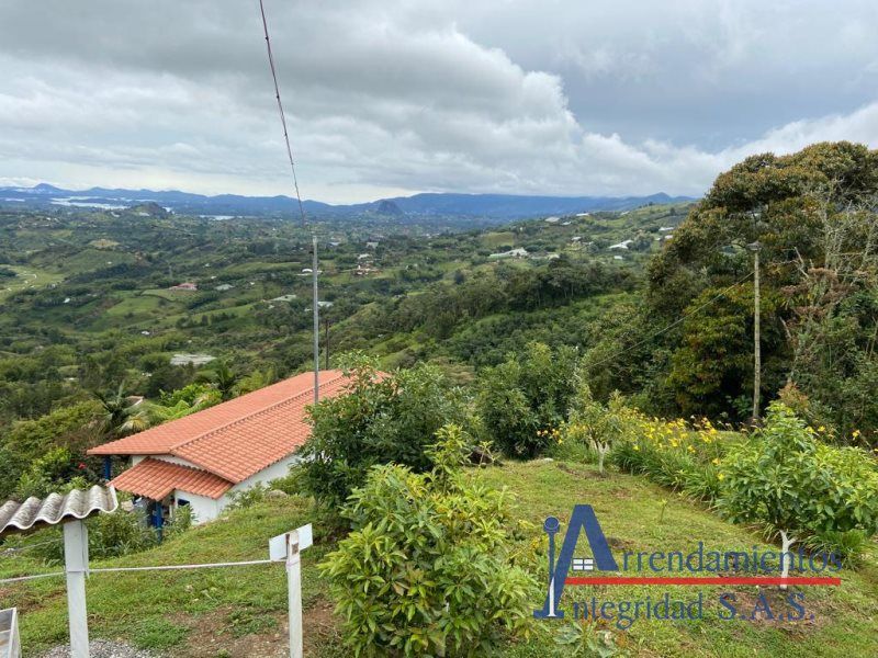 Bodega en venta Antioquia Peñol Peñol 120 m2 Habitaciones 0 Baños 0 Garajes 0 Precio $1000000000
