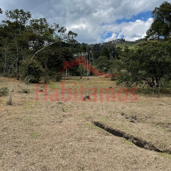 Lote en venta Antioquia El Retiro El Retiro 9711 m2 Habitaciones 0 Baños 0 Garajes 0 Precio $1350000000