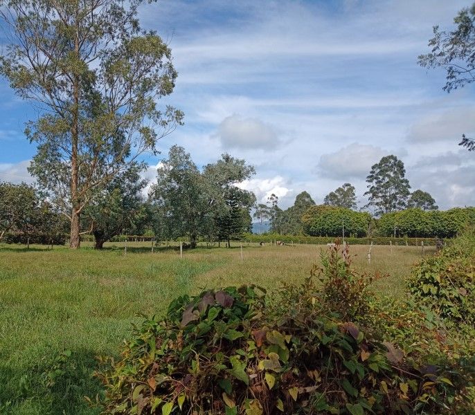 Lote en venta Antioquia Rionegro El Porvenir 14120 m2 Habitaciones 0 Baños 0 Garajes 0 Precio $7000000000