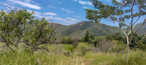 Lote en venta Cundinamarca Apulo Apulo 372 m2 Habitaciones 0 Baños 0 Garajes 0 Precio $1500000000