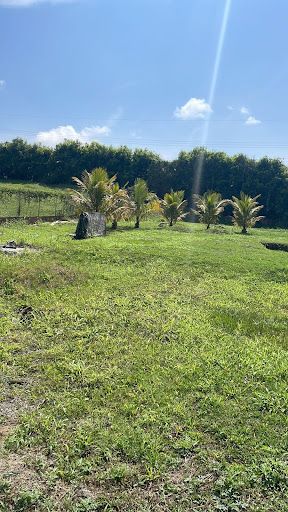 Lote en venta Risaralda Pereira Pereira 2023 m2 Habitaciones 0 Baños 0 Garajes 0 Precio $550000000