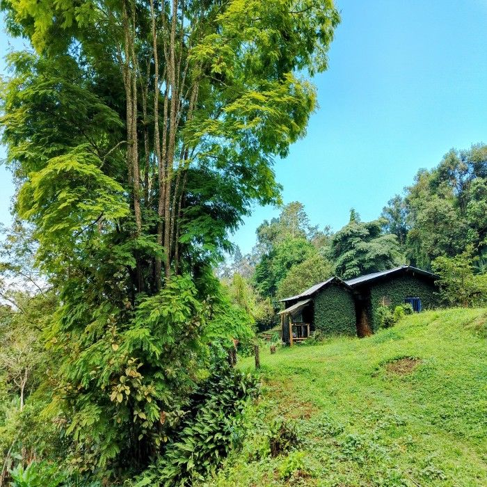 Finca en venta Valle Del Cauca Cali Cali 60 m2 Habitaciones 2 Baños 1 Garajes 4 Precio $550000000