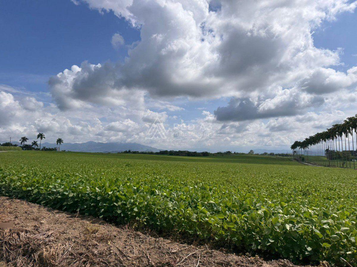 Lote en venta Risaralda Pereira Pereira 6400 m2 Habitaciones 0 Baños 0 Garajes 0 Precio $1600000000