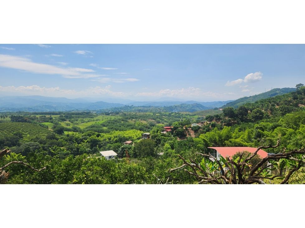 Lote en venta Caldas Manizales Manizales 1500 m2 Habitaciones 0 Baños 0 Garajes 0 Precio $190000000