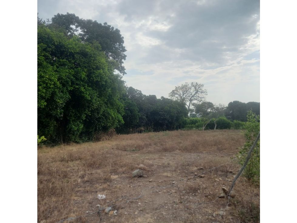 Lote en venta Valle Del Cauca Palmira Palmira 2000 m2 Habitaciones 0 Baños 0 Garajes 0 Precio $260000000