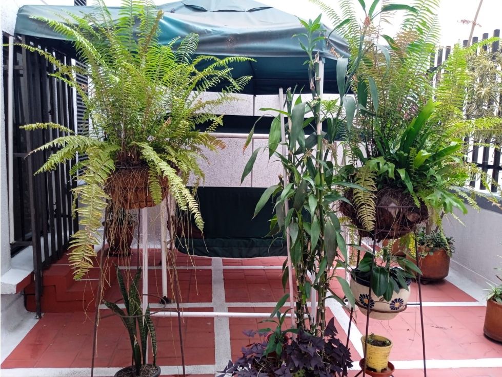 Apartamento en venta Valle Del Cauca Cali Versalles 180 m2 Habitaciones 3 Baños 4 Garajes 4 Precio $585000000