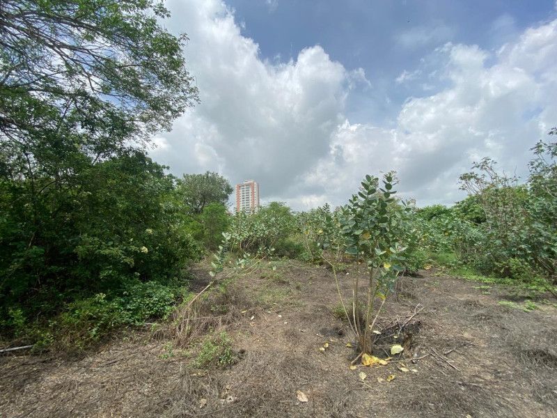 Lote en venta Atlántico Barranquilla Villa Rosario 1155 m2 Habitaciones 0 Baños 0 Garajes 0 Precio $700000000
