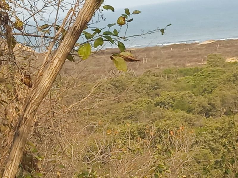 Lote en venta Bolívar Cartagena Paraguay 17500 m2 Habitaciones 0 Baños 0 Garajes 0 Precio $5250000000