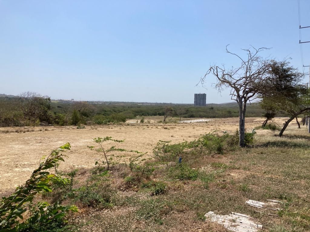 Lote en venta Atlántico Puerto Colombia Lagos Del Caujaral 1298 m2 Habitaciones 0 Baños 0 Garajes 0 Precio $1200000000