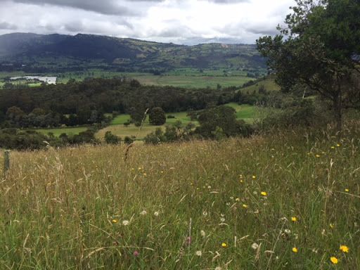 Finca en venta Cundinamarca Guasca Guasca 416000 m2 Habitaciones 1 Baños 1 Garajes 0 Precio $12000000000