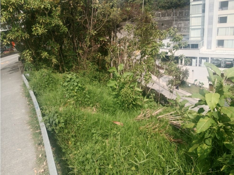 Lote en venta Caldas Manizales Cn El Rincon Del Trebol 15300 m2 Habitaciones 0 Baños 0 Garajes 0 Precio $6000000000