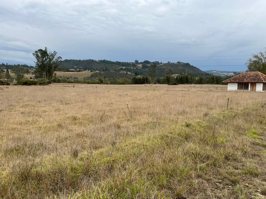 Lote en venta Boyacá Tuta Tuta 1137 m2 Habitaciones 0 Baños 0 Garajes 0 Precio $82000000000