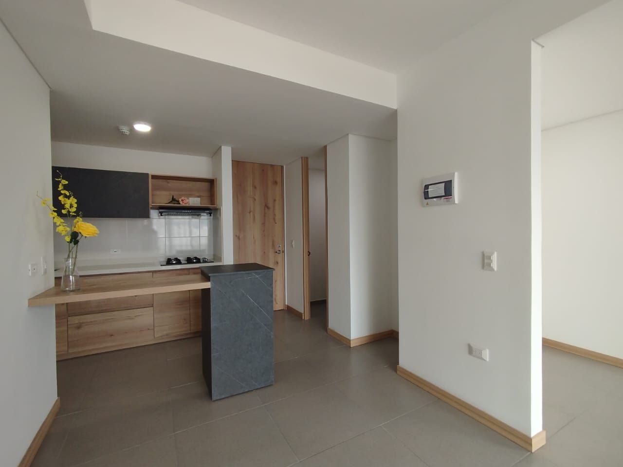 Apartaestudio en arriendo Risaralda Pereira San Jose Sur 52 m2 Habitaciones 1 Baños 2 Garajes 1 Precio $2400000