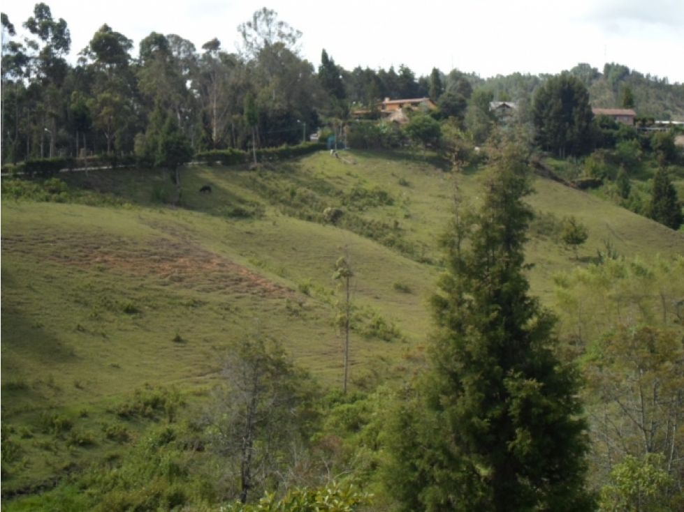 Lote en venta Antioquia Guarne Santo Tomás 35482 m2 Habitaciones 0 Baños 0 Garajes 0 Precio $9935000000