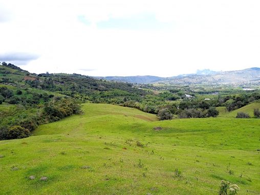 Lote en venta Valle Del Cauca Yumbo Yumbo 3500 m2 Habitaciones 0 Baños 0 Garajes 0 Precio $350000000