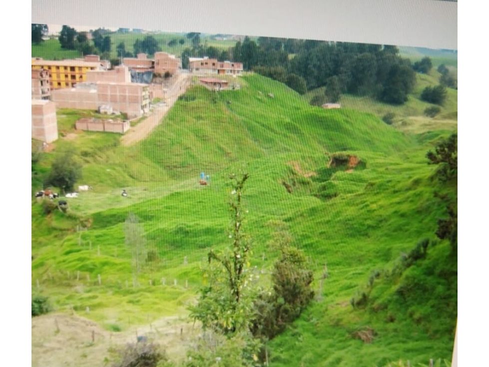 Lote en venta Antioquia Santa Rosa De Osos Santa Rosa De Osos 7827 m2 Habitaciones 0 Baños 0 Garajes 0 Precio $590000000