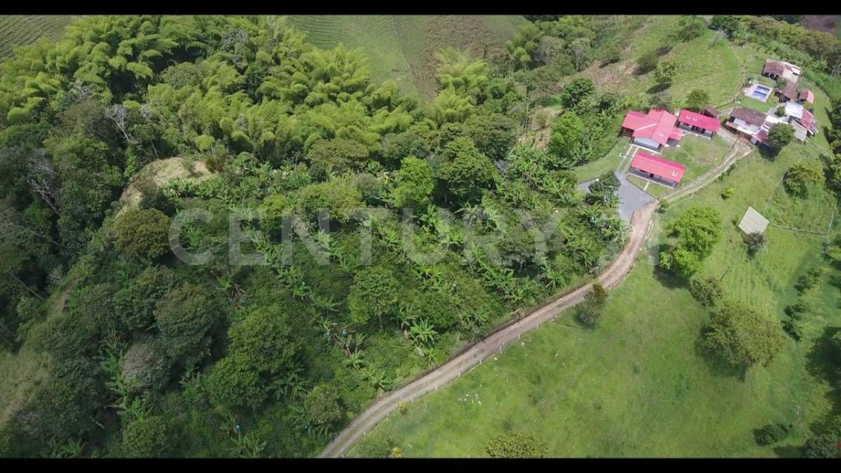 Lote en venta Quindío Armenia Armenia 210 m2 Habitaciones 0 Baños 3 Garajes 7 Precio $980000000