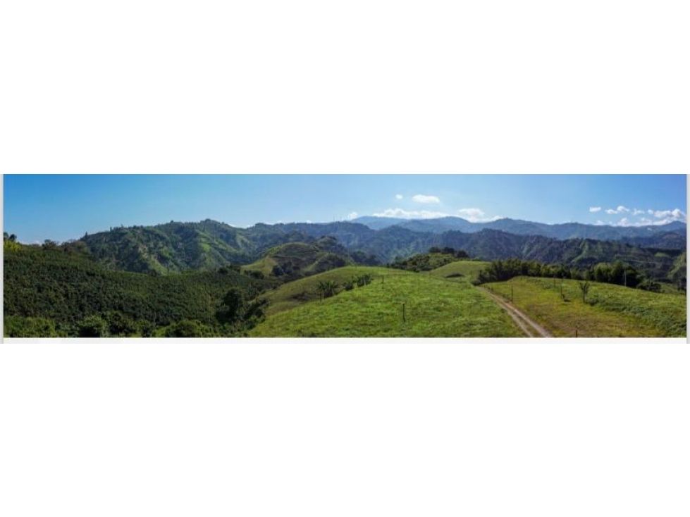 Lote en venta Caldas Manizales Manizales 1622 m2 Habitaciones 0 Baños 0 Garajes 0 Precio $630000000