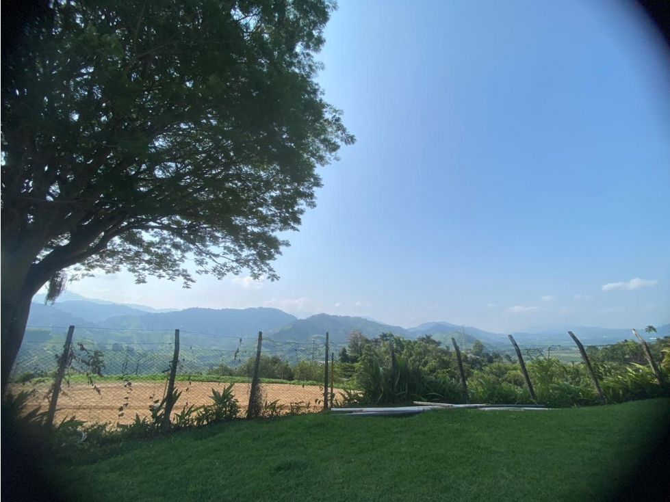 Lote en venta Caldas Manizales Manizales 1527 m2 Habitaciones 0 Baños 0 Garajes 0 Precio $537000000