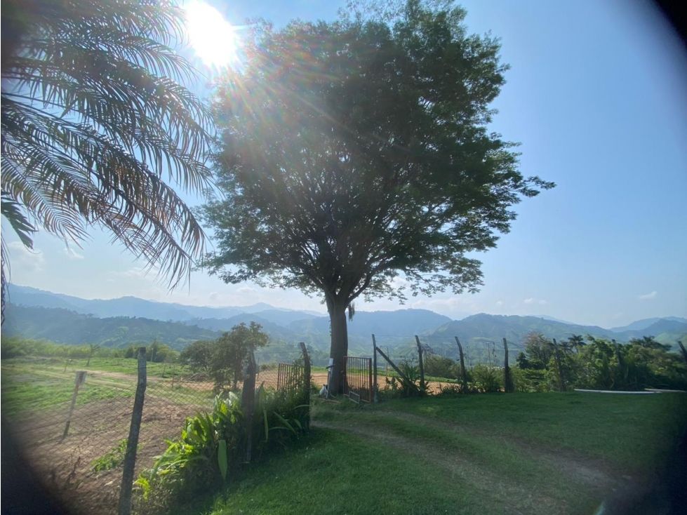 Lote en venta Caldas Manizales Manizales 1833 m2 Habitaciones 0 Baños 0 Garajes 0 Precio $711000000