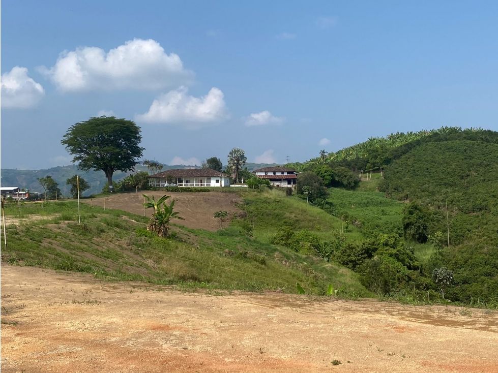 Lote en venta Caldas Manizales Manizales 1803 m2 Habitaciones 0 Baños 0 Garajes 0 Precio $700000000