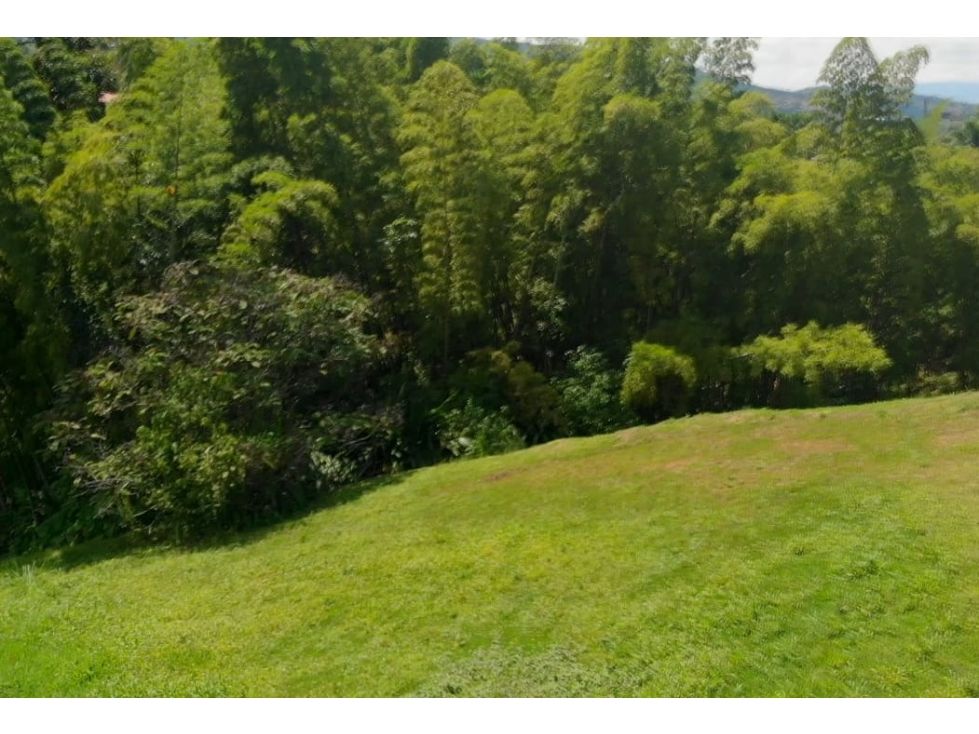 Lote en venta Caldas Manizales Manizales 1800 m2 Habitaciones 0 Baños 0 Garajes 0 Precio $665000000