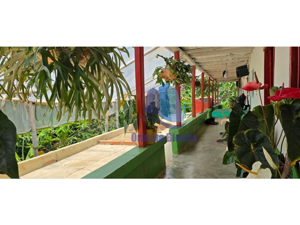 Finca en venta Antioquia La Ceja La Ceja 90 m2 Habitaciones 3 Baños 1 Garajes 0 Precio $250000000