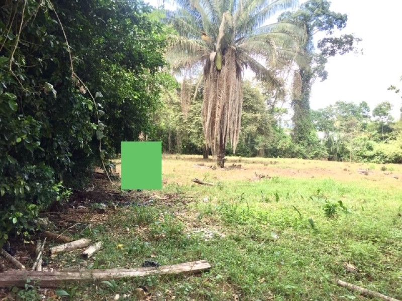 Lote en venta Cundinamarca Nilo Nilo 5533 m2 Habitaciones 0 Baños 0 Garajes 0 Precio $750000000