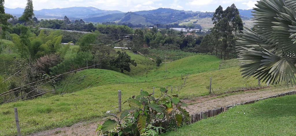 Lote en venta Valle Del Cauca Calima Calima 1 m2 Habitaciones 0 Baños 0 Garajes 0 Precio $3750000000