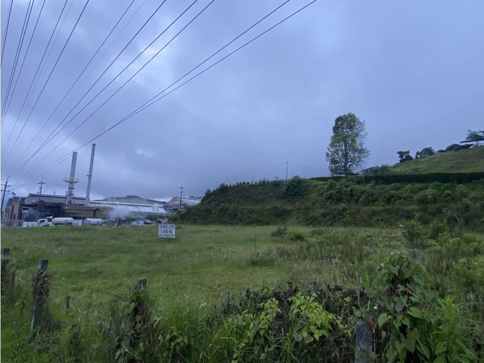 Lote en venta Caldas Manizales Ub Valles De La Alhambra 5500 m2 Habitaciones 0 Baños 0 Garajes 0 Precio $4500000000