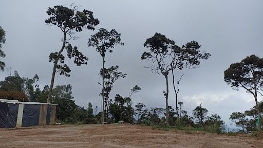 Lote en venta Antioquia Envigado Envigado 1108 m2 Habitaciones 0 Baños 0 Garajes 0 Precio $850000000