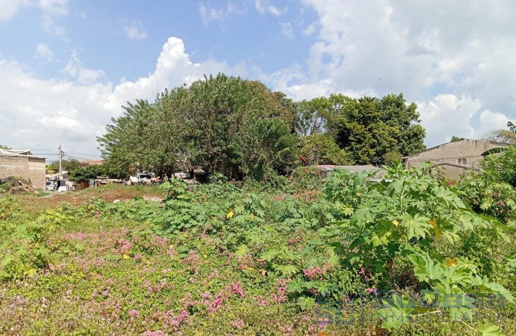 Lote en venta Bolívar Cartagena Cartagena 45 m2 Habitaciones 0 Baños 0 Garajes 0 Precio $450000000