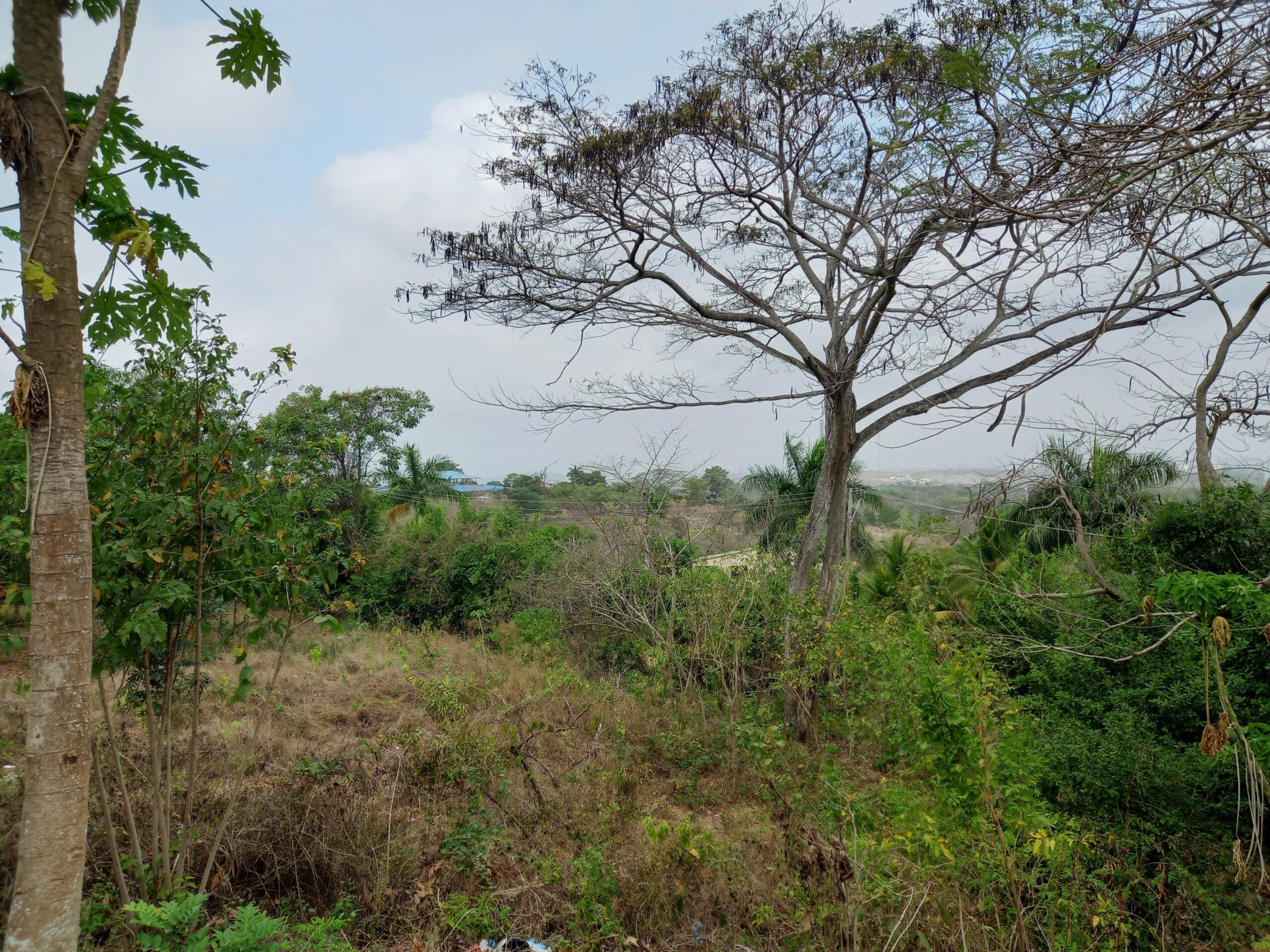 Lote en venta Bolívar Cartagena Cartagena 60 m2 Habitaciones 0 Baños 0 Garajes 0 Precio $700000000