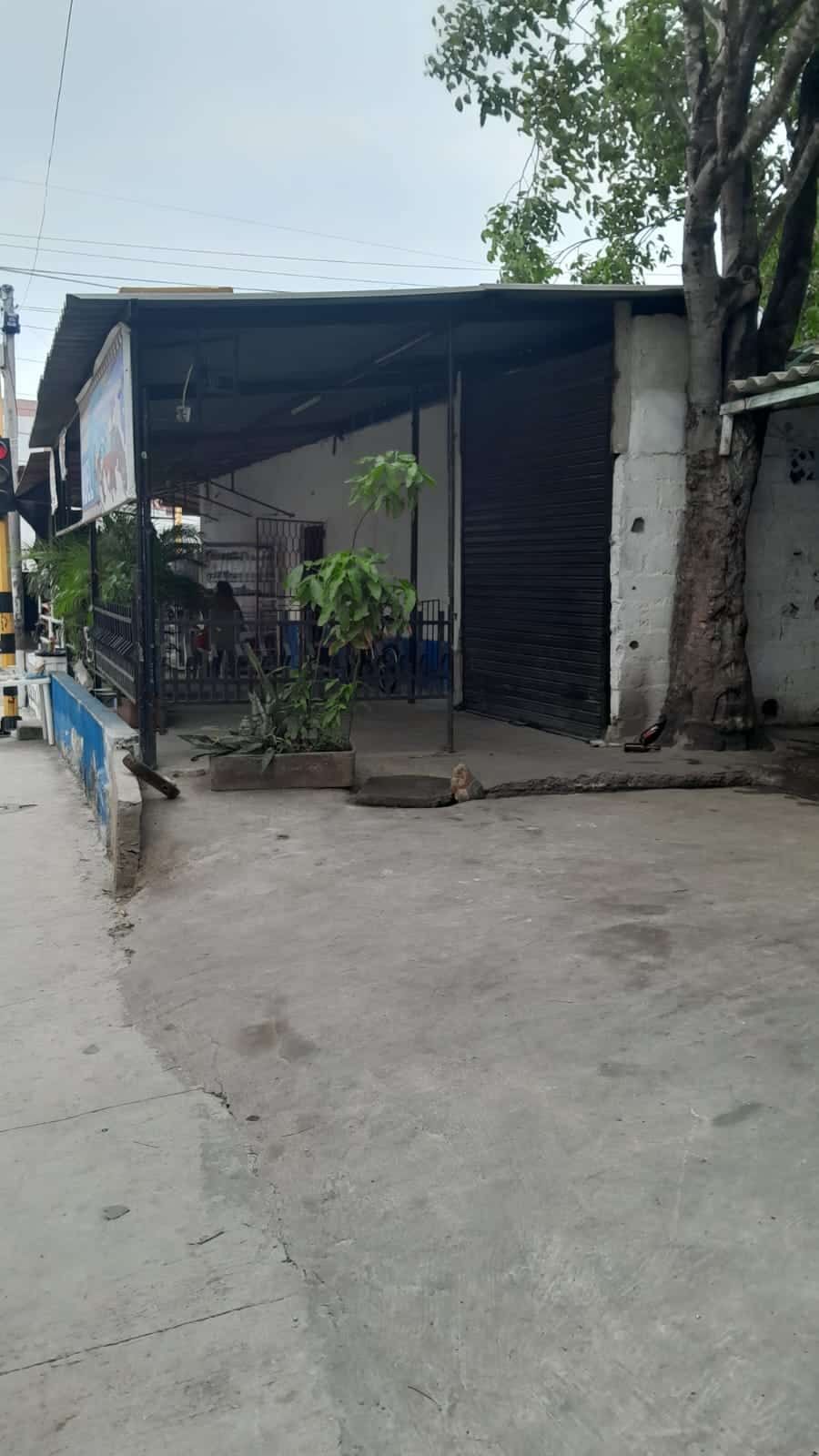 Lote en venta Bolívar Cartagena Cartagena 91 m2 Habitaciones 0 Baños 0 Garajes 0 Precio $250000000