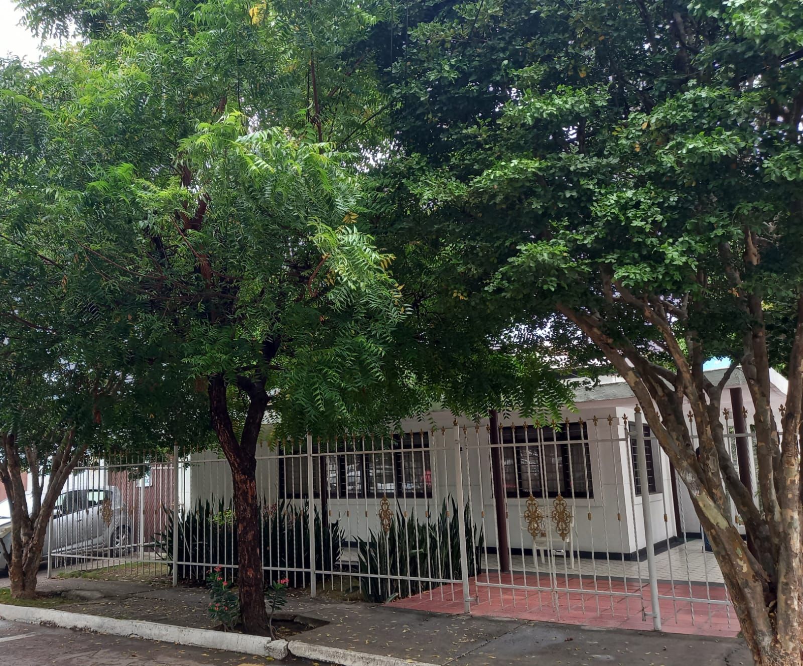 Casa en venta Bolívar Cartagena Crespo 204 m2 Habitaciones 3 Baños 2 Garajes 1 Precio $1500000000