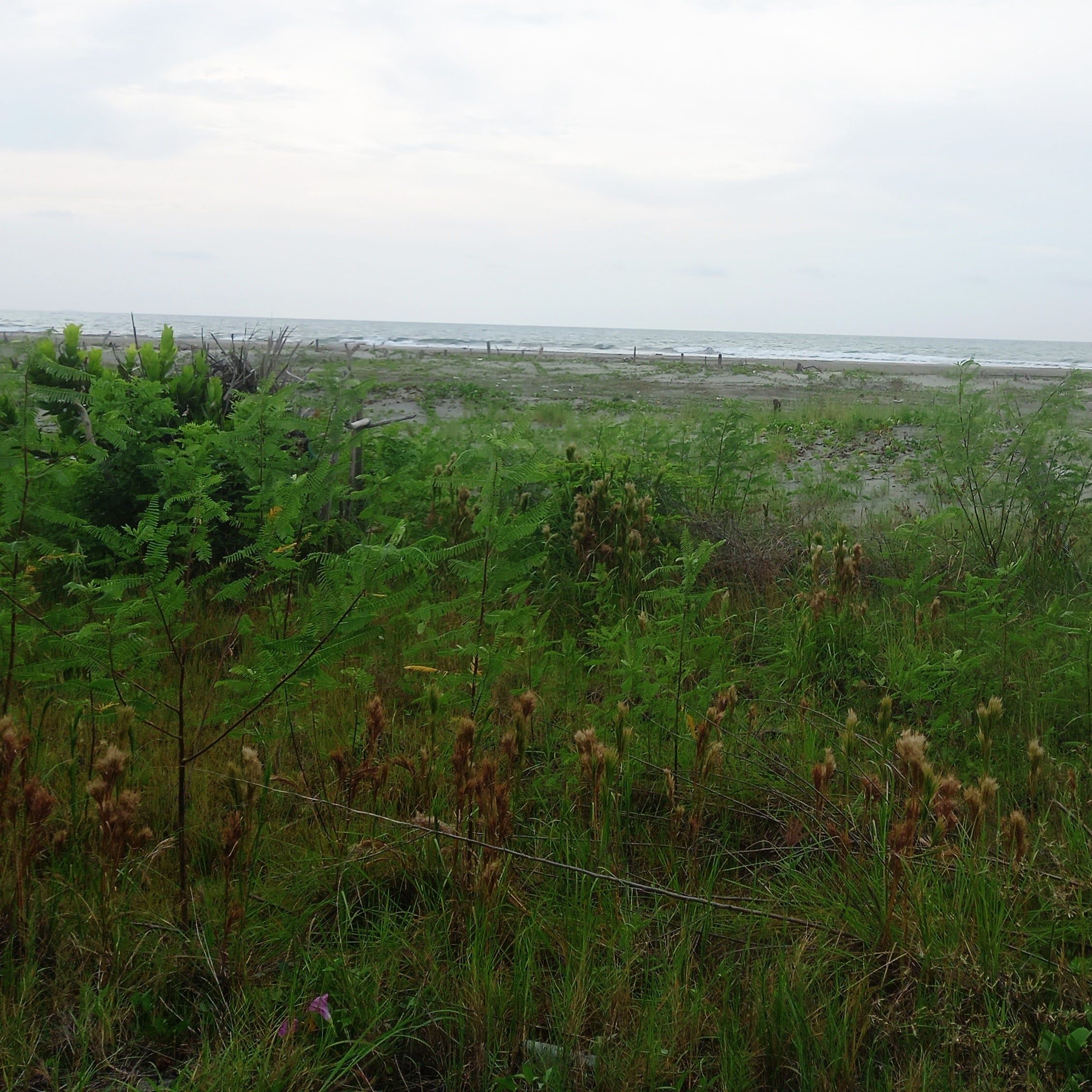 Finca en venta Bolívar Cartagena Cartagena 320 m2 Habitaciones 5 Baños 4 Garajes 1 Precio $2147483647