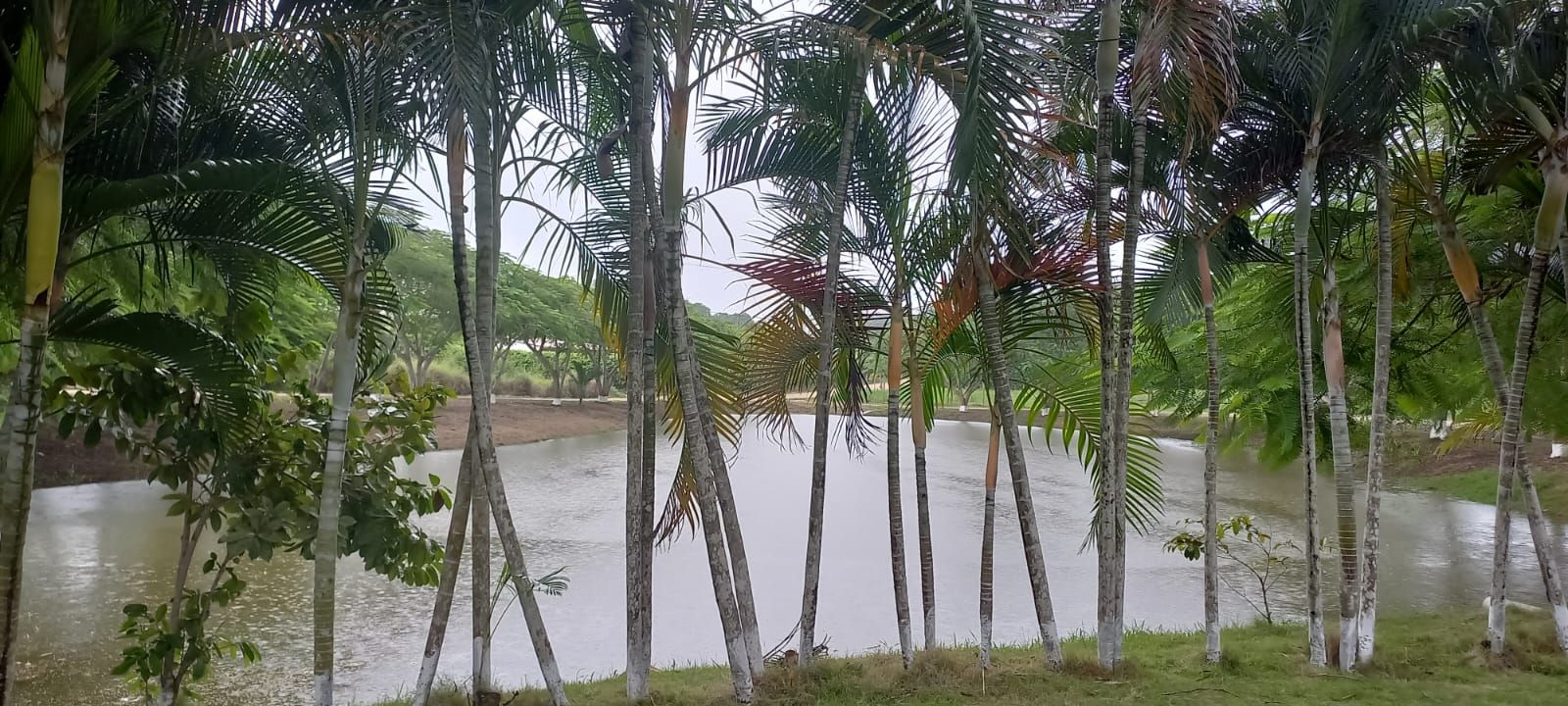 Lote en venta Bolívar Cartagena Cartagena 0 m2 Habitaciones 0 Baños 0 Garajes 0 Precio $105000000