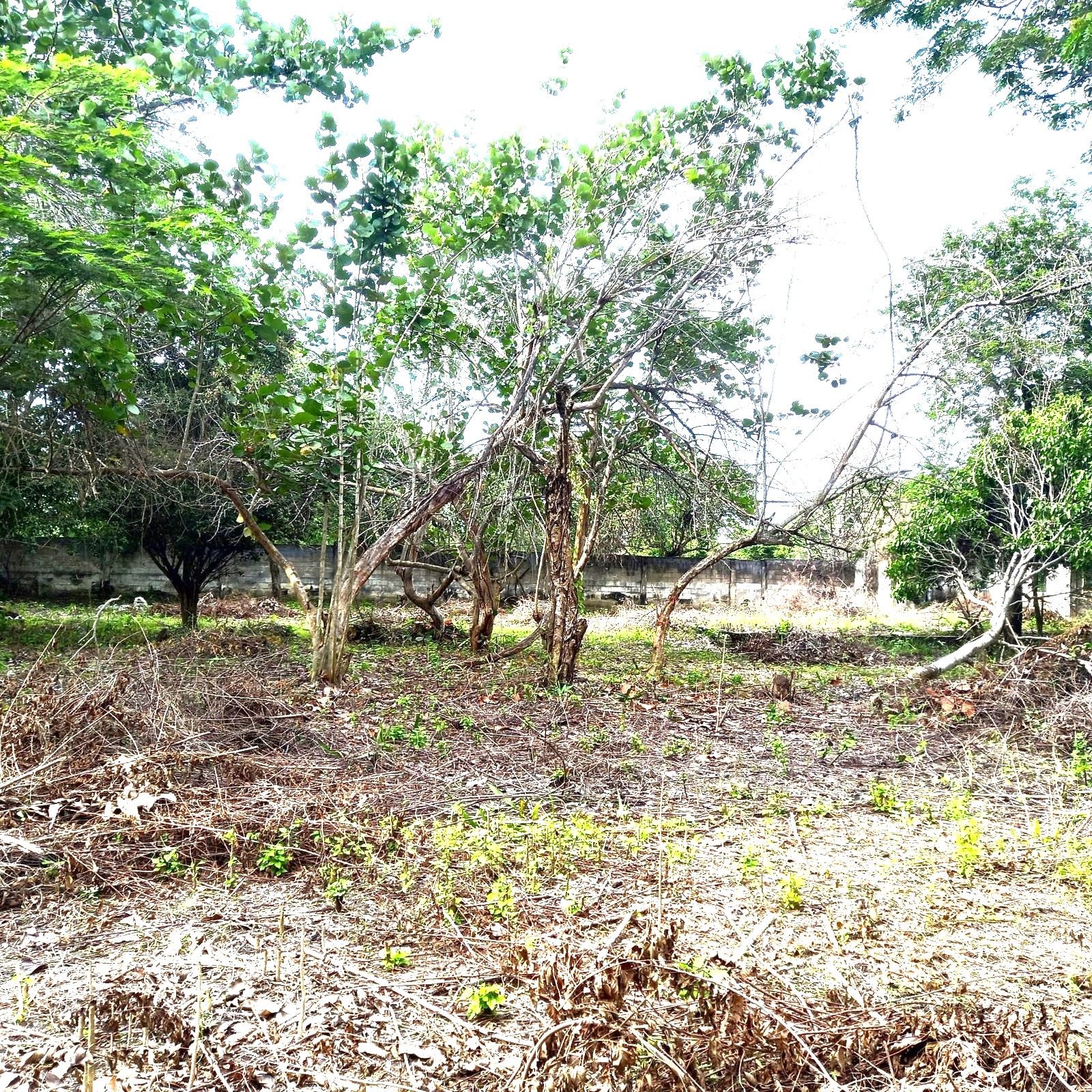 Lote en venta Bolívar Cartagena Cartagena 0 m2 Habitaciones 0 Baños 0 Garajes 0 Precio $679140000