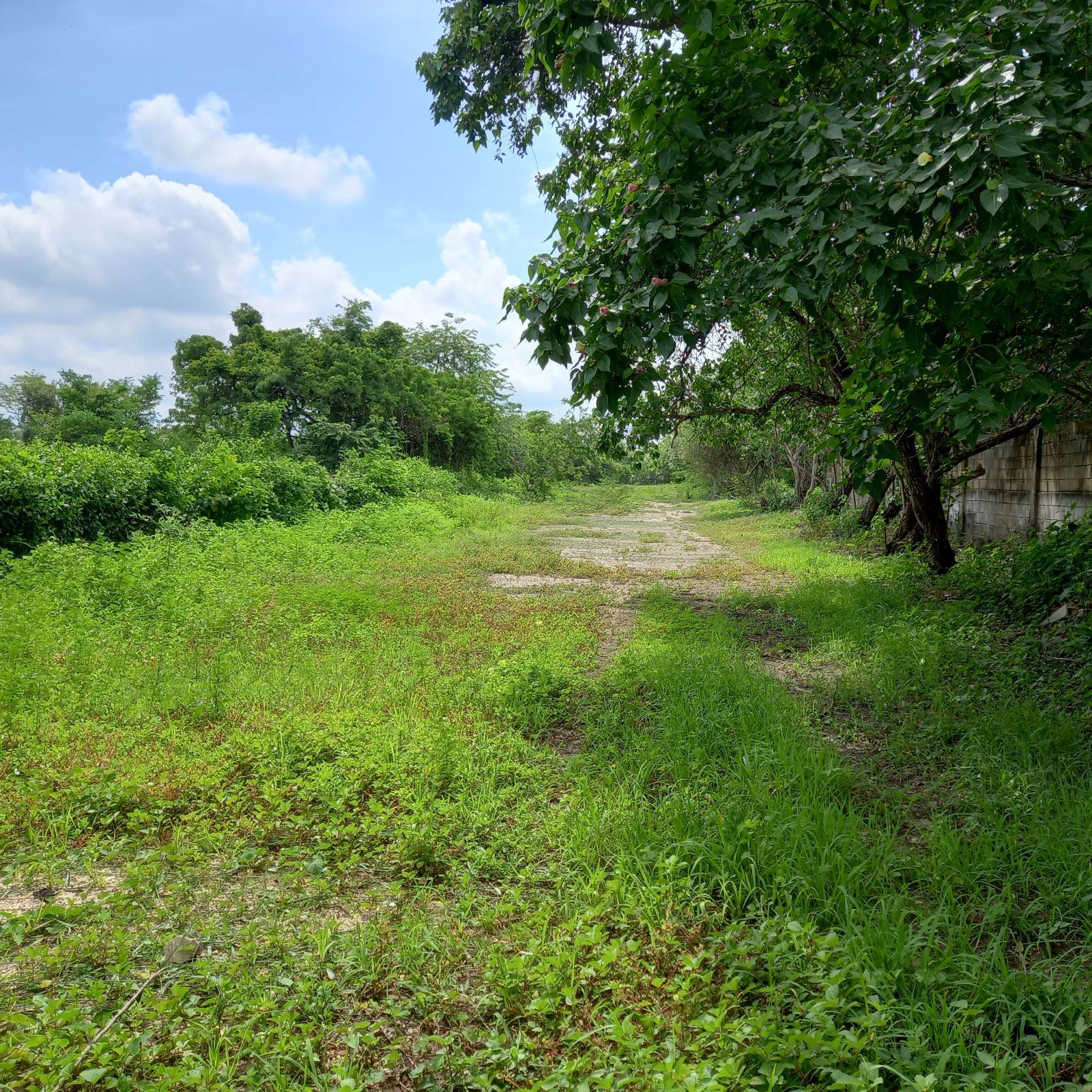 Lote en venta Bolívar Cartagena Cartagena 0 m2 Habitaciones 0 Baños 0 Garajes 0 Precio $682440000