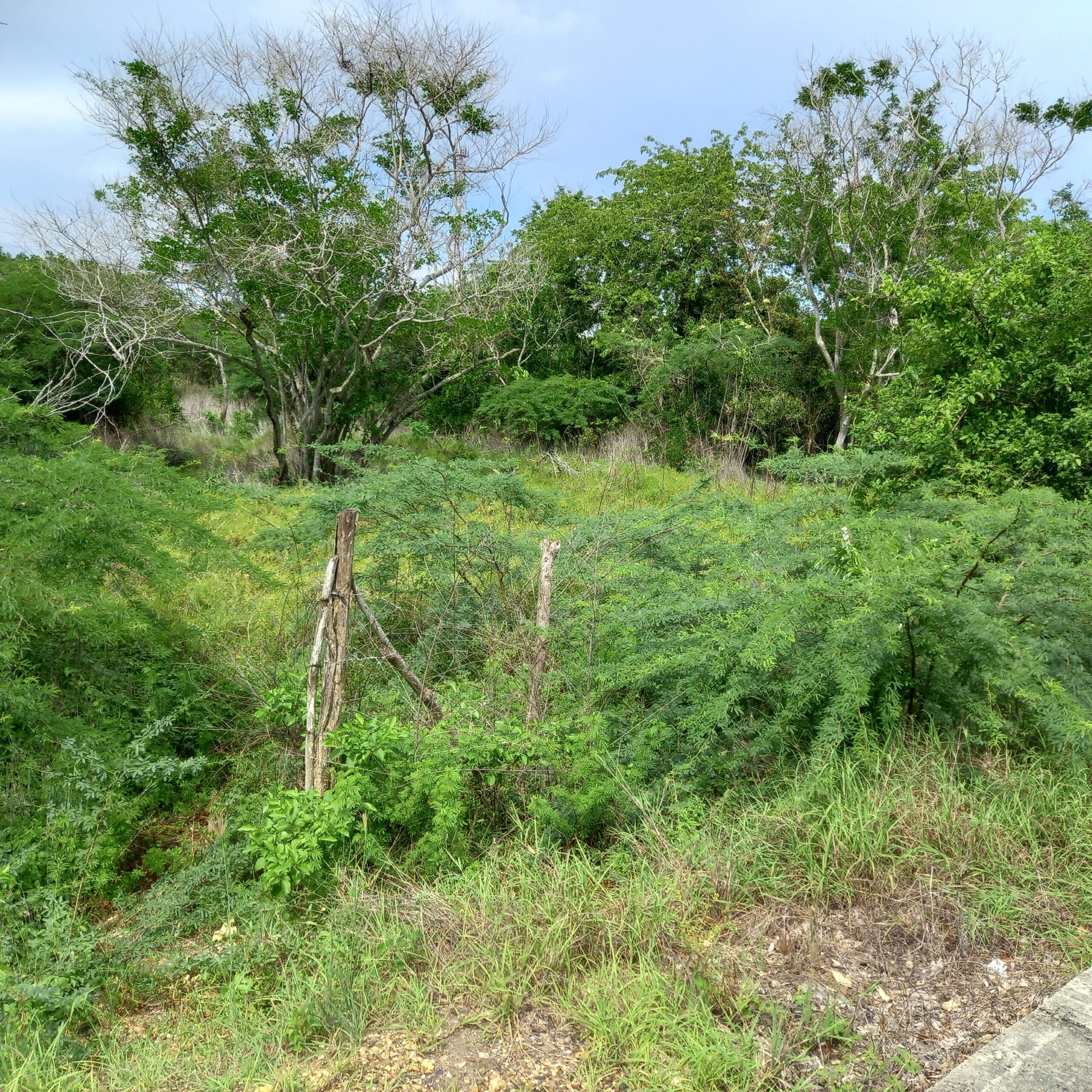 Lote en venta Bolívar Cartagena Cartagena 0 m2 Habitaciones 0 Baños 0 Garajes 0 Precio $1172600000