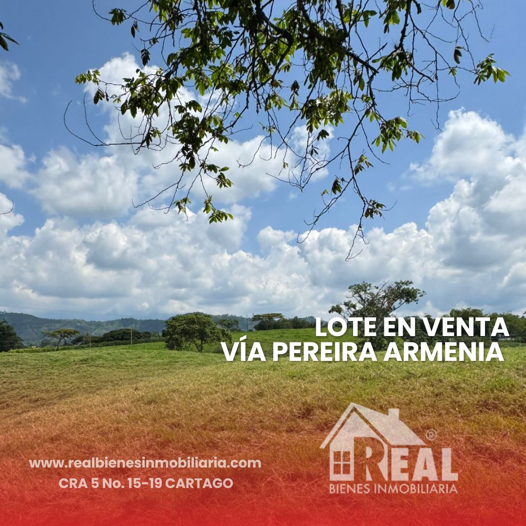 Lote en venta Risaralda Pereira Br San Fernando 10000 m2 Habitaciones 0 Baños 0 Garajes 0 Precio $1000000000